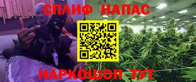 альфа пвп Заводоуковск